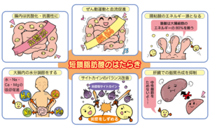 スリビア!ビセラ【腸活サプリ7種】の口コミから徹底調査